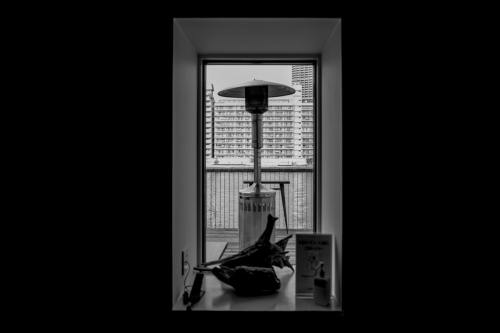 IMG_1952 のコピー