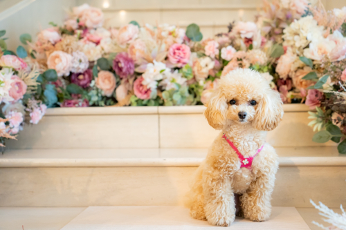 LINE_ALBUM_その他_230605_0