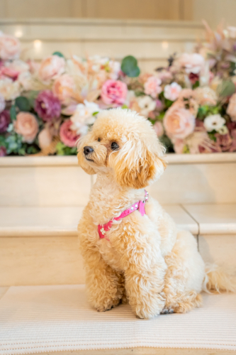 LINE_ALBUM_その他_230605_1