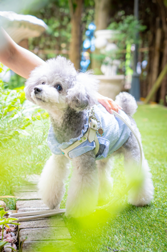 LINE_ALBUM_その他_230605_10