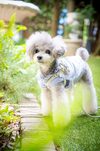 LINE_ALBUM_その他_230605_11