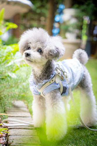 LINE_ALBUM_その他_230605_12