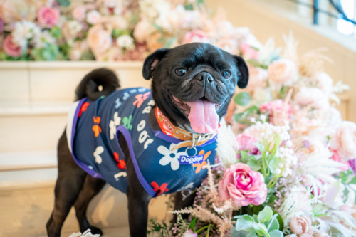 LINE_ALBUM_その他_230605_14