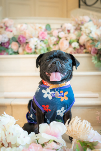 LINE_ALBUM_その他_230605_15