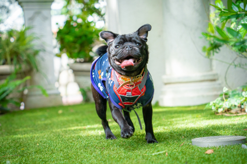 LINE_ALBUM_その他_230605_17