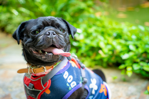 LINE_ALBUM_その他_230605_18