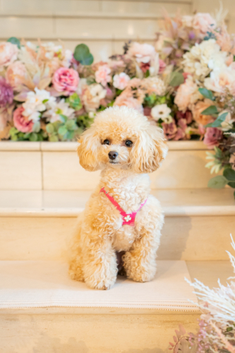 LINE_ALBUM_その他_230605_19