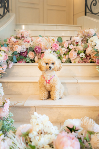 LINE_ALBUM_その他_230605_2