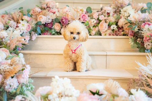 LINE_ALBUM_その他_230605_3