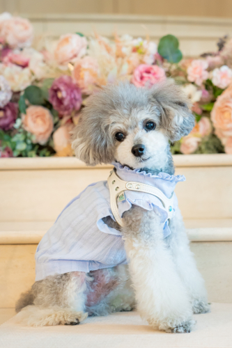 LINE_ALBUM_その他_230605_6