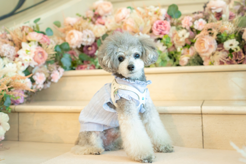 LINE_ALBUM_その他_230605_7