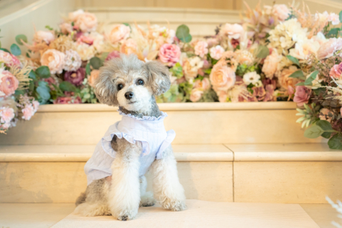 LINE_ALBUM_その他_230605_8