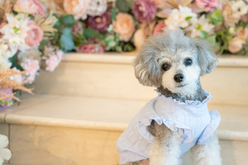 LINE_ALBUM_その他_230605_9