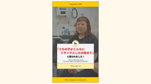 Dog-Salon-RAN-が大切にしていること-1920-x-1080-px2
